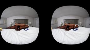 mena carlisle jay playhard vr