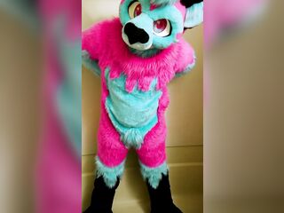 Absolutely An "Accident" - A full fursuiter urinates themselves