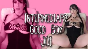 Intermediary Good Boy JOI