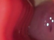 Introducing Wet straight edge Cock Block dangling close up cock twink shorties #NotSponsored