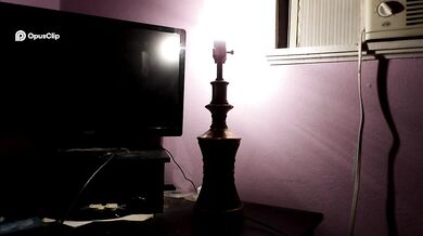'Add Glamor to Your Space with GE's Decorative G16.5 Medium Base Bulb'
