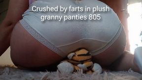 Crushed by farts in plush granny panties 805