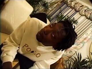 The Harlot Is Very Provocative