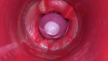 CAMERA INSIDE PUSSY: POWERFULL CUM IN PUSSY! BEST Internal ASMR in 4K