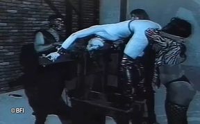 Punishment pleasures