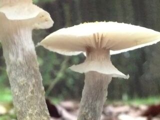 Excuse me just One Minute of your time ;)