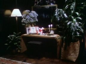 Playboy's  21 Playmates 2:  Centerfold Collection