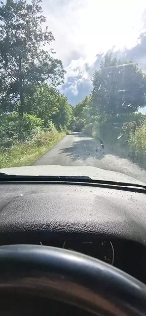 Sex in the Car with a Beautiful, Sexy Stranger