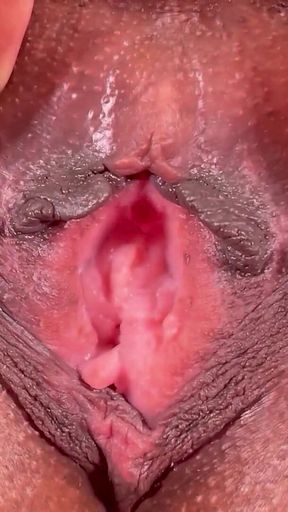 Shaved MILF Pussy JOI