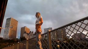 Perfect Tits in public