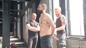 First Timer With A Giant Cock Gets Suspended And Edged Above The Drill Court