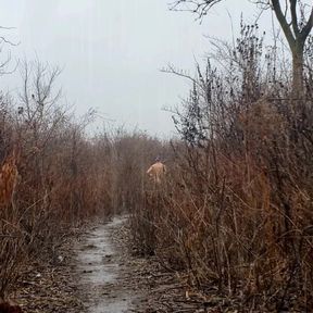 Muddy naked run