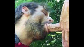 Sucking some random cock from Craigslist