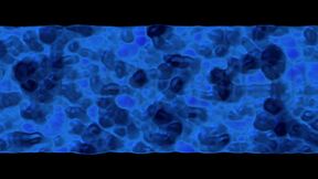 Chicago Bound Finale