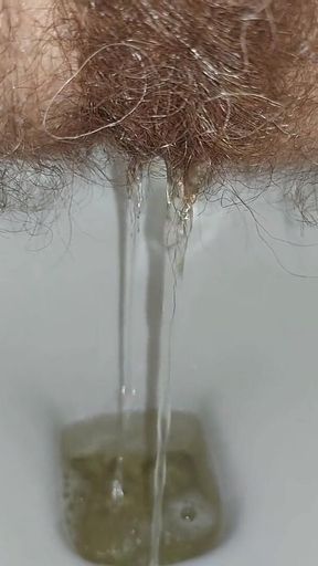 Woman Pissing in the Toilet, Golden Shower, Hairy Pussy Pee