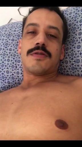 Morning Wood