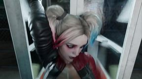 Harley Quinn &amp_ Cat Woman