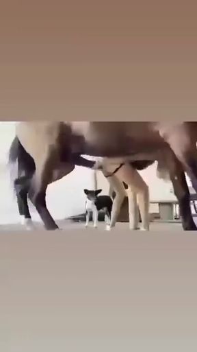 White GF gets deep penetrated by a group of men