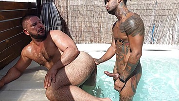 Gaysight Sheer Exclusives #5