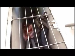 Black dude pounds tranny on red lingerie