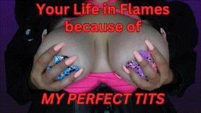 Your Life in Flames because of My Perfect Tits