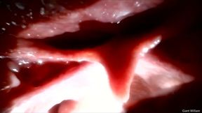 Stuck inside me Male gummy vore