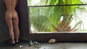 Unexpected Encounter: Shower Fun on a Tropical Getaway - POV Adventure!