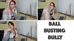 Ball Busting Bully (WMV)