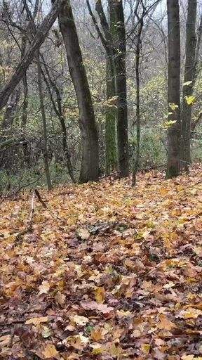 Dominatrix Mistress April - Forrest beating
