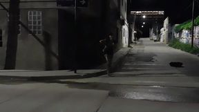 puta argentina embarazada trabaja en la calle y gana buena plata pero mira como termina...