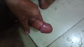 My Big Cock Fucking Your Moms Pussy in Bathroom