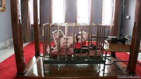 ”Hubby with housewife fuck big titted slave”