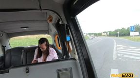 Fake Taxi - Young Stewardess joins the 9 Inch Taxi Club