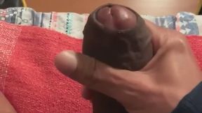 Breeding the fuck out of a sub bitch