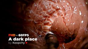 [FHD 60FPS] - A dark place - ENDOSCOPE VORE (CINEMATIC)