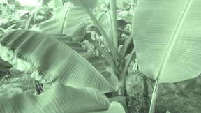 Big ass indian couple village sex