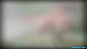 almost lost my ? alberto de velazquez parte 2