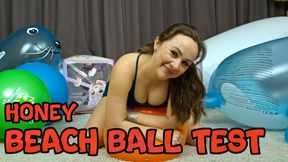 1336 Honey and the orange ball