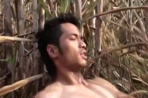 Asian Model