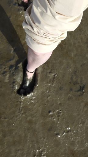 Short Test in the Mudflats on the Beach of Horumersiel