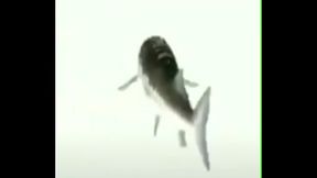 ta