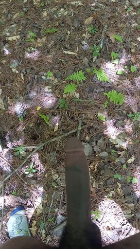 cuming in the wood