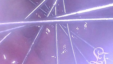 POV of the Whisk spreading my Ass from inside!