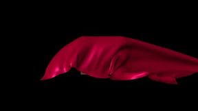LUNA RAMONDINI fleshlight handjob