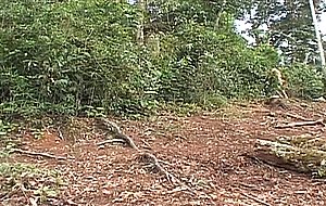 Bianca freire fucked in the woods