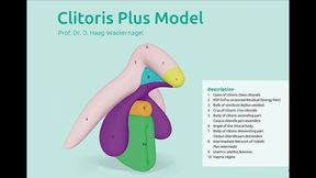 sex education - clitoris do you know how clitoris really looks like? watch the newest tutorial