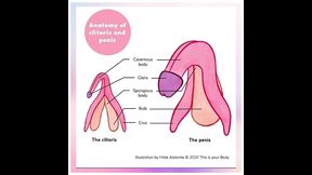 sex education - clitoris do you know how clitoris really looks like? watch the newest tutorial