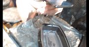 Watch me cum from two different camera angles