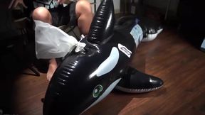 Chinese Bound Dolphin Breathplay