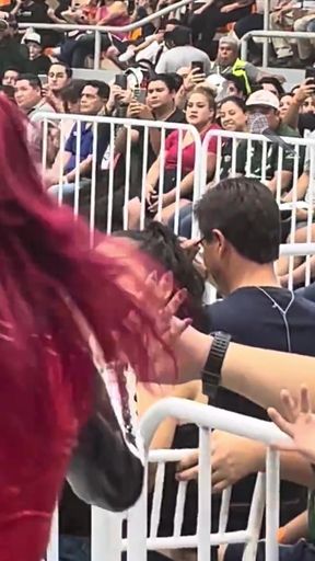 Crowd at a sports event